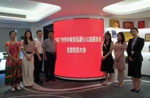 中共广州市中食安泓爱心公益基金会党支部正式成立