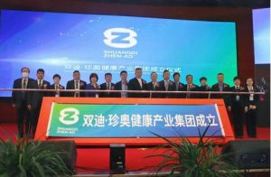 2021破局|双迪迈向新航道