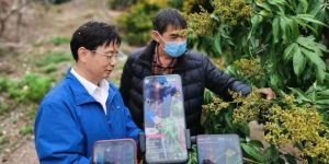 手机新农具，直播新农活，“网红”新农民</a>