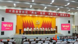 双迪、珍奥以“两优一先”献礼建党百年</a>