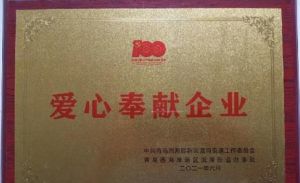 长青中国获“爱心奉献企业”荣誉</a>
