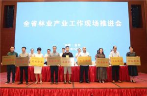 绿之韵集团荣获“湖南省林业产业化龙头企业”称号</a>
