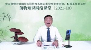 安惠董事长陈惠走进菌物知识网络课堂