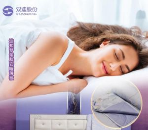 双迪：我们一直在寻找，如何用科技让睡眠变得更加美好！</a>
