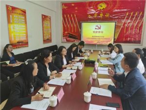 中共金诃藏药股份有限公司支部委员会召开党史学习教育专题组织生活会