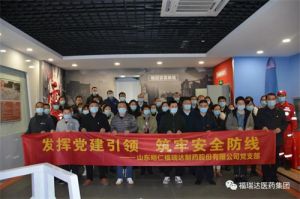 明仁福瑞达党支部组织开展主题党日活动