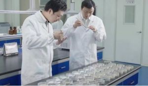硬核技术，品质“金金”计较，方才造就春芝堂食用菌产品