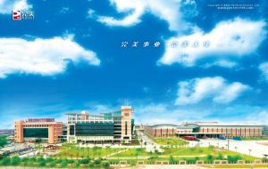 完美中国的“善循环”：坚守与创新，开拓公益新天地
