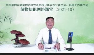 媒体聚焦丨安惠生物科技“小蘑菇 大产业”的探索实践