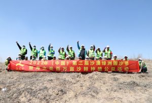 海之圣百万亩沙棘种植十年规划：第二批完成