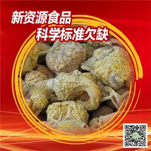 新时代公司牵头起草的《玛咖粉》行业标准正式发布