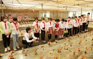 安惠：六一快乐丨我是芝彩少年，乐享非遗技艺