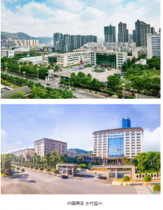 中国黑茶  乡村振兴  理想华莱全“心”出发