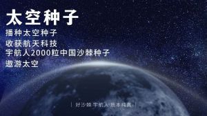 神舟十四号载人飞船航天英雄凯旋！宇航人中国沙棘太空种子顺利返航