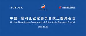 和治友德受邀参加中智企业家委员会第四次线上圆桌会议