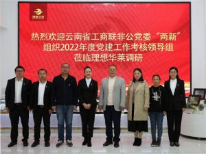 2022年度党建工作考核领导组调研理想华莱