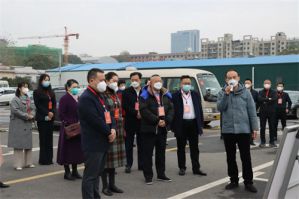 胡国安参加长沙两会前人大代表集中视察活动