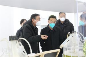 河北省农业农村厅领导参观金木集团