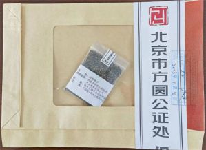 宇航人：两千粒沙棘“太空种子”将开启新研究