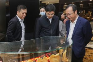 集安市委书记焦文民一行莅临康美药业调研
