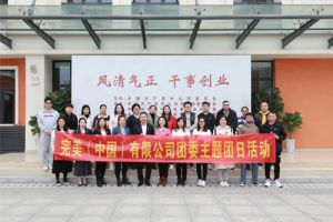 弘扬家国情怀 | 完美团委组织开展主题团日活动