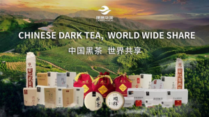 12亿＋6亿，理想华莱尽显“领军品牌”责任担当