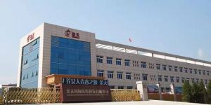 引领行业标准制定，金天国际规范生殖养护行业健康发展