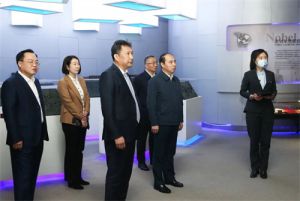 大连市委常委、金普新区党工委书记调研双迪
