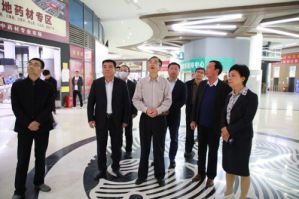 黄冈市人大常委会主任张社教考察康美中药城