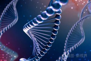双迪 | 核苷酸延缓衰老研究取得突破