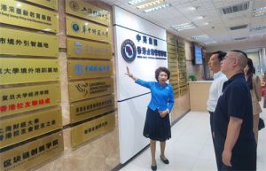 绿之韵胡国安荣任香港中华教育基金荣誉主席