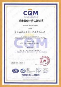 双迪桃花公司顺利通过三大体系认证审核