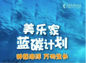 以行动守护地球，美乐家“蓝碳计划”引领公益新潮