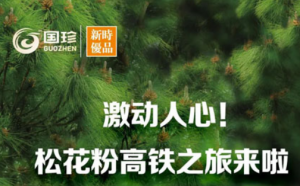 激动人心！松花粉高铁之旅来啦