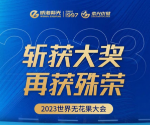 威海紫光斩获2023世界无花果大会四项大奖