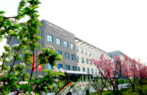 卫康再生医学产业：重塑人体生命力 开启医学新纪元