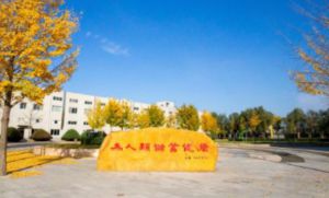 罗麦科技：向“新”出发 加速培育新质生产力