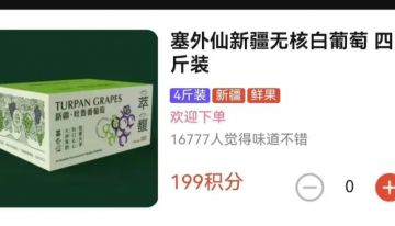 积分激活消费，“疆村购”、“权和益”是真靠谱还是涉传销？