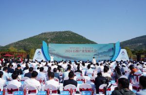 2024石榴产业发展大会盛大开幕