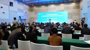 这项政府大奖花落双迪，市领导颁奖、副省长出席