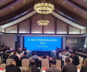 绿叶科技集团“爱生活卫生巾”——绿叶护花公益项目助力贵州省毕节乡村振兴
