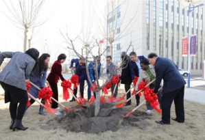 植树节：守护绿色家园共建生态未来