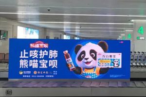 金木旗下公司产品广告亮相河北正定国际机场