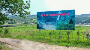康美来董事长余春富进山视察灵芝基地建设