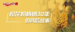 新时代松花粉背后故事 藏在民间的健康小能手