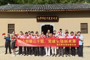 新时代湖北联合流动党支部开展“缅怀革命先烈，传承红色基因”主题活动