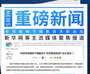 新华网聚焦报道安然植物干细胞技术新动向</a>