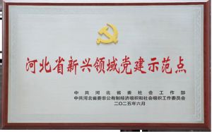 金木党支部荣膺“河北省新兴领域党建示范点”