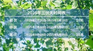 “冬病夏调”科学养生避雷误区