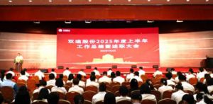 双迪2025上半年工作总结召开